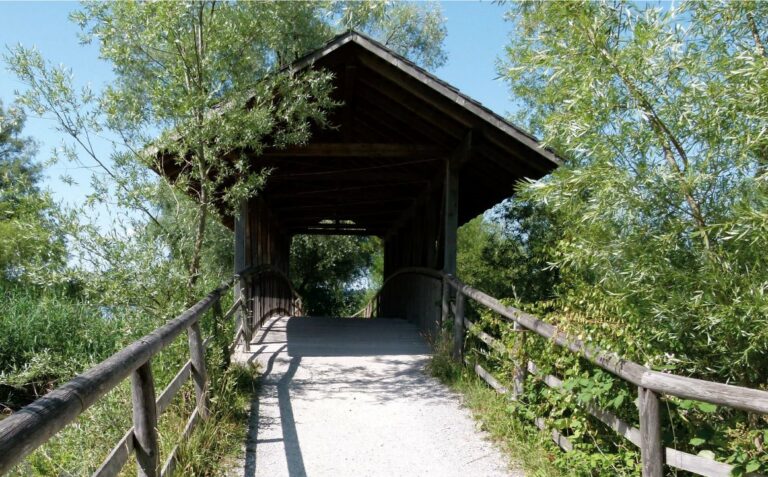 Brücke